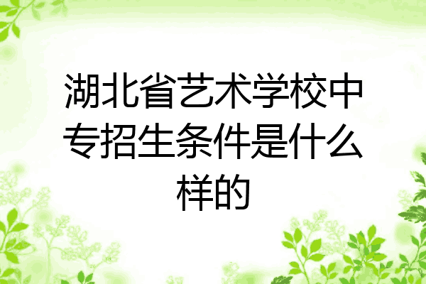 湖北省艺术学校中专招生条件是什么样的