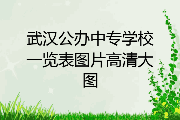武汉公办中专学校一览表图片高清大图