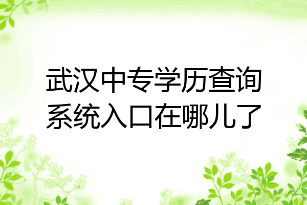 武汉中专学历查询系统入口在哪儿了