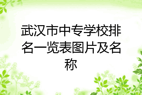 武汉市中专学校排名一览表图片及名称