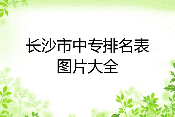 长沙市中专排名表图片大全