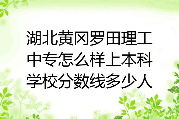 湖北黄冈罗田理工中专怎么样上本科学校分数线多少人