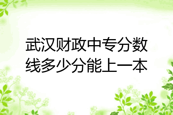 武汉财政中专分数线多少分能上一本