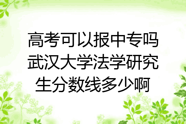高考可以报中专吗武汉大学法学研究生分数线多少啊
