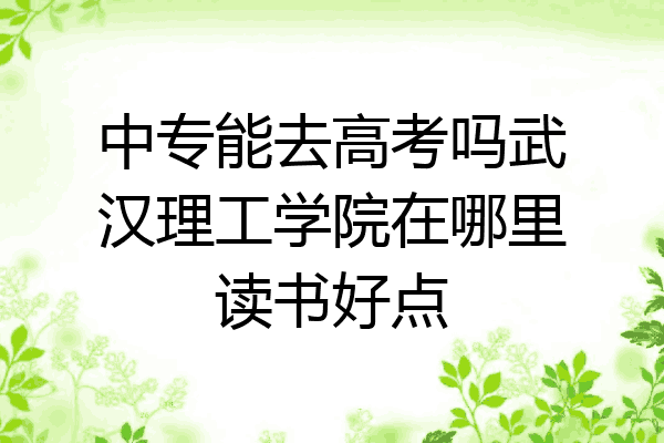 中专能去高考吗武汉理工学院在哪里读书好点