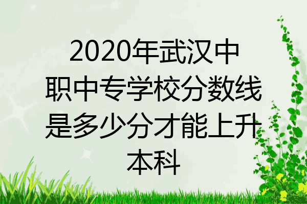 2020年武汉中职中专学校分数线是多少分才能上升本科