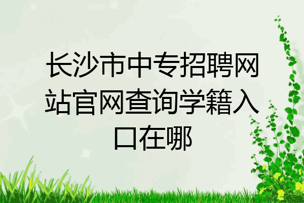 长沙市中专招聘网站官网查询学籍入口在哪
