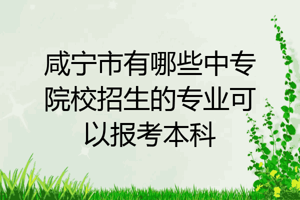 咸宁市有哪些中专院校招生的专业可以报考本科
