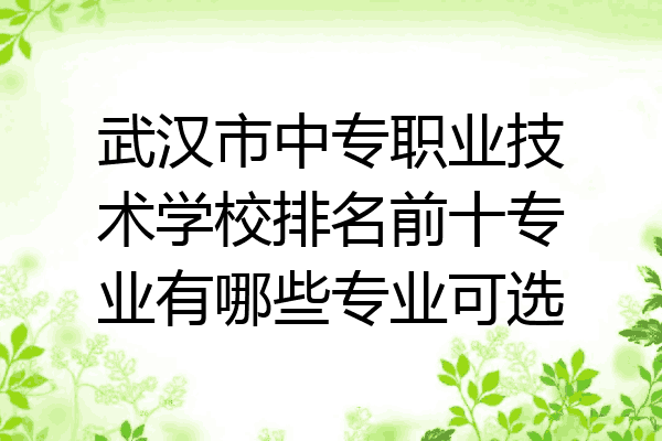 武汉市中专职业技术学校排名前十专业有哪些专业可选