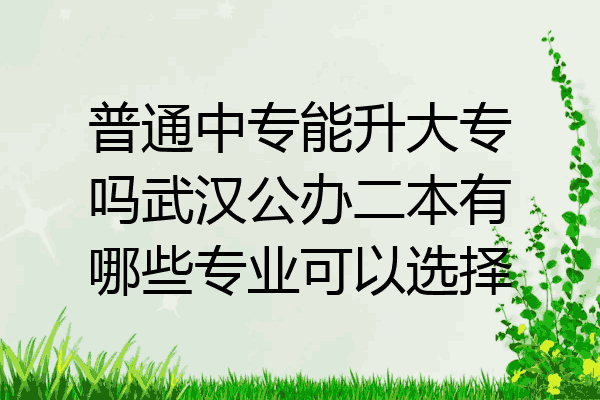 普通中专能升大专吗武汉公办二本有哪些专业可以选择