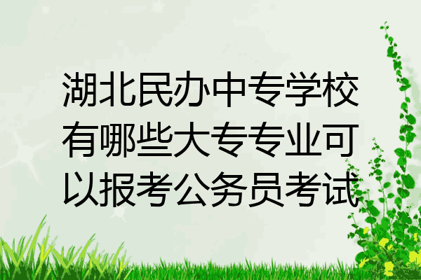 湖北民办中专学校有哪些大专专业可以报考公务员考试