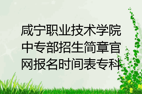 咸宁职业技术学院中专部招生简章官网报名时间表专科