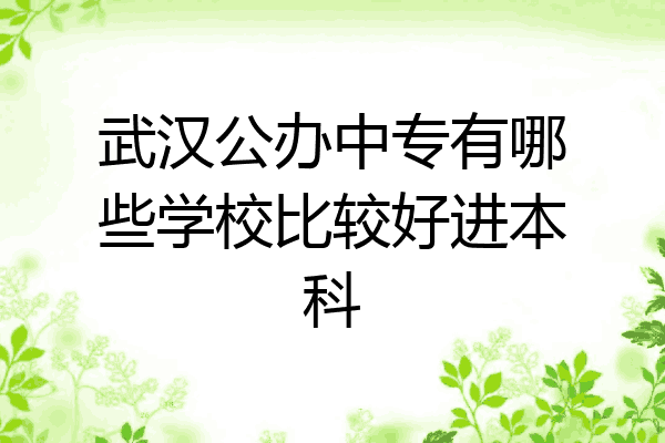 武汉公办中专有哪些学校比较好进本科