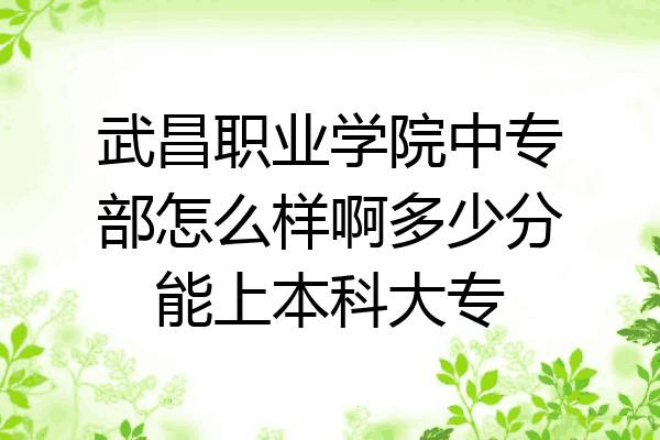 武昌职业学院中专部怎么样啊多少分能上本科大专