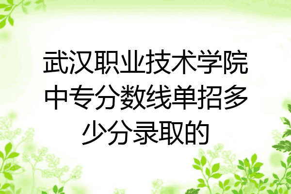 武汉职业技术学院中专分数线单招多少分录取的