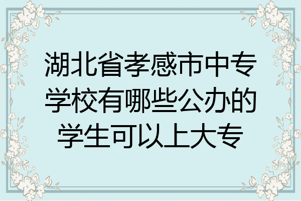 湖北省孝感市中专学校有哪些公办的学生可以上大专