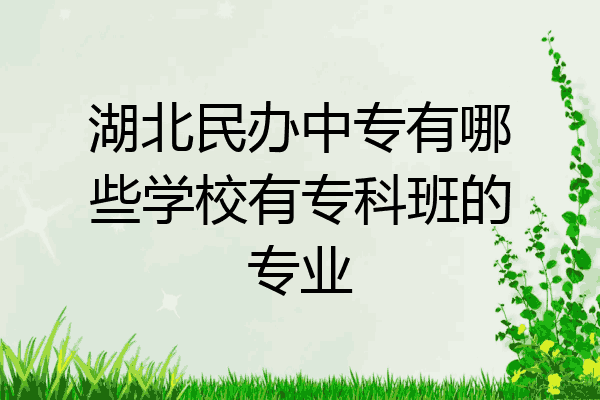 湖北民办中专有哪些学校有专科班的专业