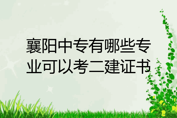 襄阳中专有哪些专业可以考二建证书