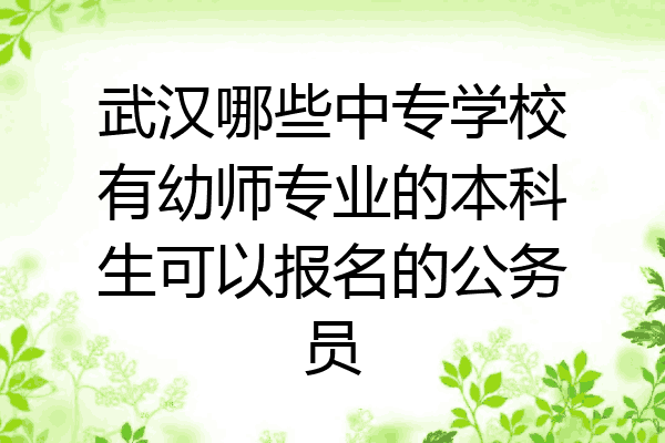 武汉哪些中专学校有幼师专业的本科生可以报名的公务员