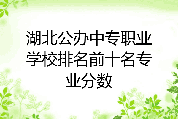 湖北公办中专职业学校排名前十名专业分数
