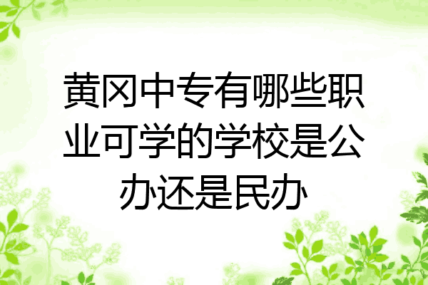 黄冈中专有哪些职业可学的学校是公办还是民办
