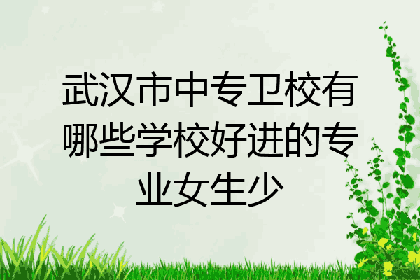 武汉市中专卫校有哪些学校好进的专业女生少
