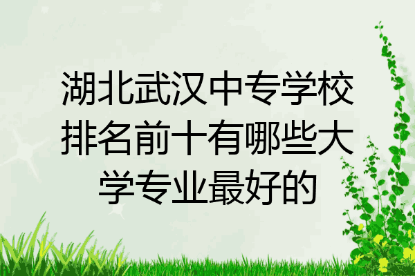 湖北武汉中专学校排名前十有哪些大学专业最好的