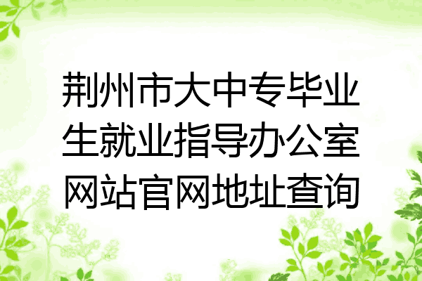 荆州市大中专毕业生就业指导办公室网站官网地址查询