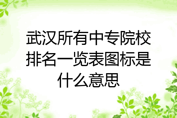 武汉所有中专院校排名一览表图标是什么意思