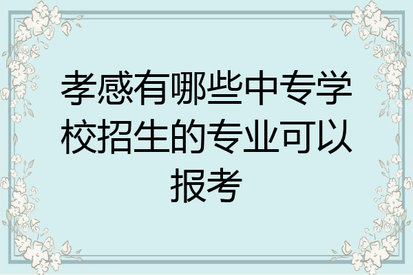 孝感有哪些中专学校招生的专业可以报考