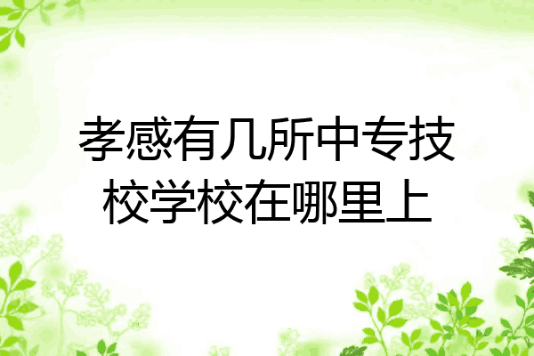 孝感有几所中专技校学校在哪里上