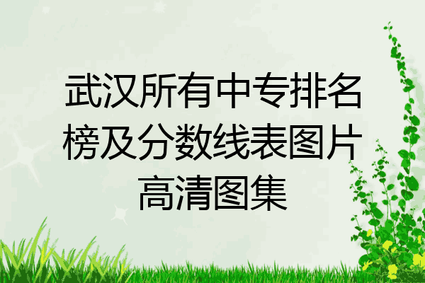 武汉所有中专排名榜及分数线表图片高清图集