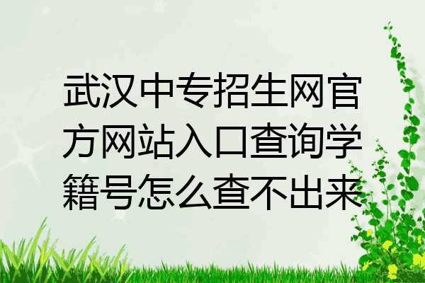 武汉中专招生网官方网站入口查询学籍号怎么查不出来