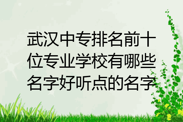 武汉中专排名前十位专业学校有哪些名字好听点的名字
