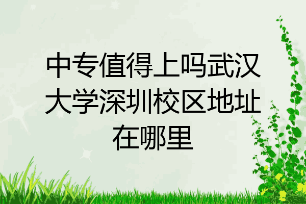 中专值得上吗武汉大学深圳校区地址在哪里