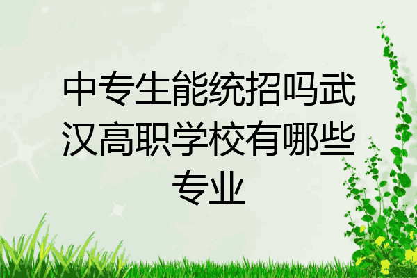中专生能统招吗武汉高职学校有哪些专业