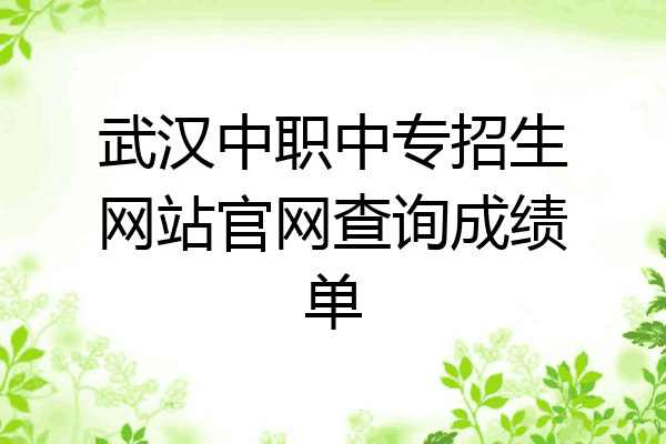 武汉中职中专招生网站官网查询成绩单