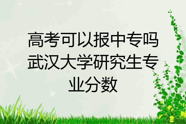 高考可以报中专吗武汉大学研究生专业分数