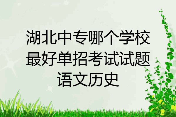 湖北中专哪个学校最好单招考试试题语文历史