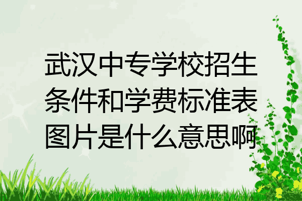 武汉中专学校招生条件和学费标准表图片是什么意思啊