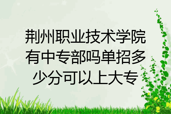 荆州职业技术学院有中专部吗单招多少分可以上大专