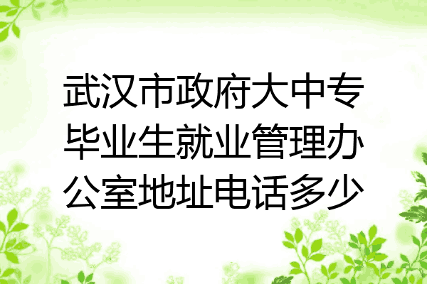 武汉市政府大中专毕业生就业管理办公室地址电话多少
