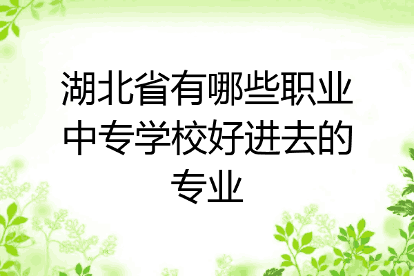 湖北省有哪些职业中专学校好进去的专业