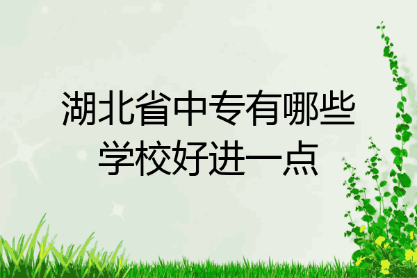 湖北省中专有哪些学校好进一点