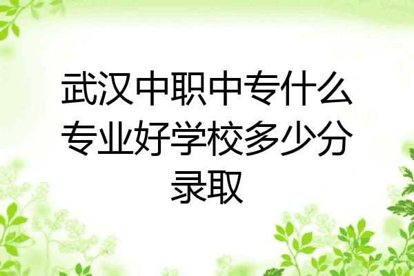 武汉中职中专什么专业好学校多少分录取
