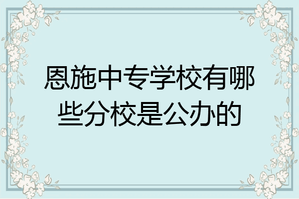 恩施中专学校有哪些分校是公办的