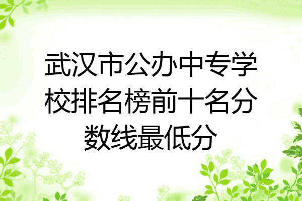 武汉市公办中专学校排名榜前十名分数线最低分