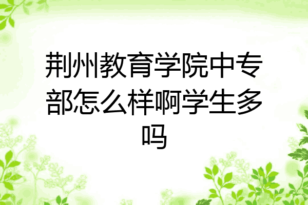 荆州教育学院中专部怎么样啊学生多吗