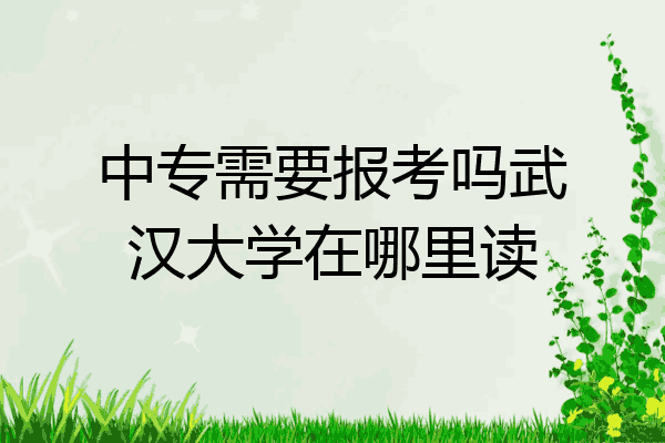 中专需要报考吗武汉大学在哪里读