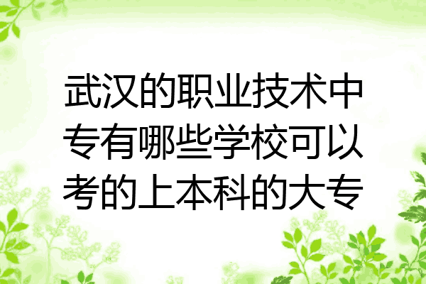 武汉的职业技术中专有哪些学校可以考的上本科的大专